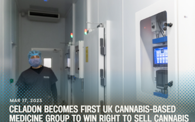 Celadon becomes first UK medical cannabis group to win right to sell in Britain